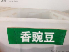 香豌豆種子